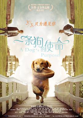 欧美日韩成人精品视频在线观看